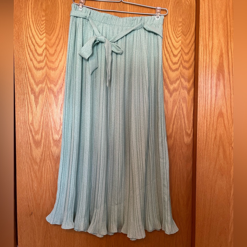 Alice Blue Pleated Maxi Skirt in Soft Teal
